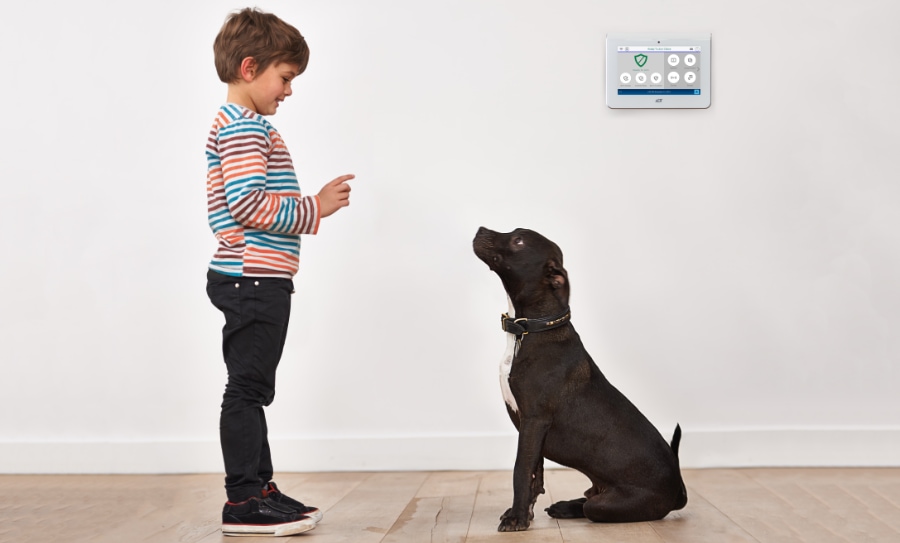Seymour security systems